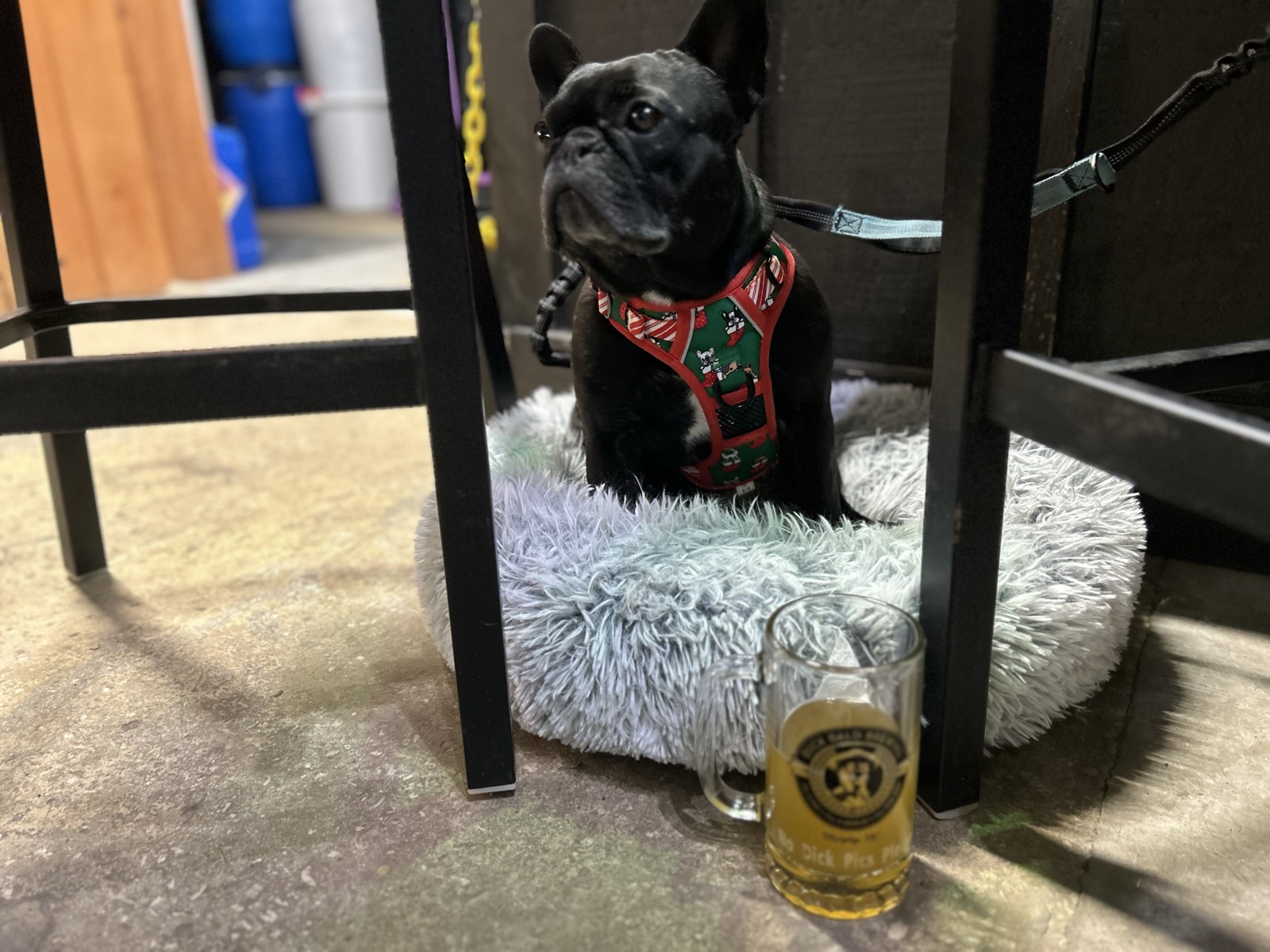 Buckbald Brewing