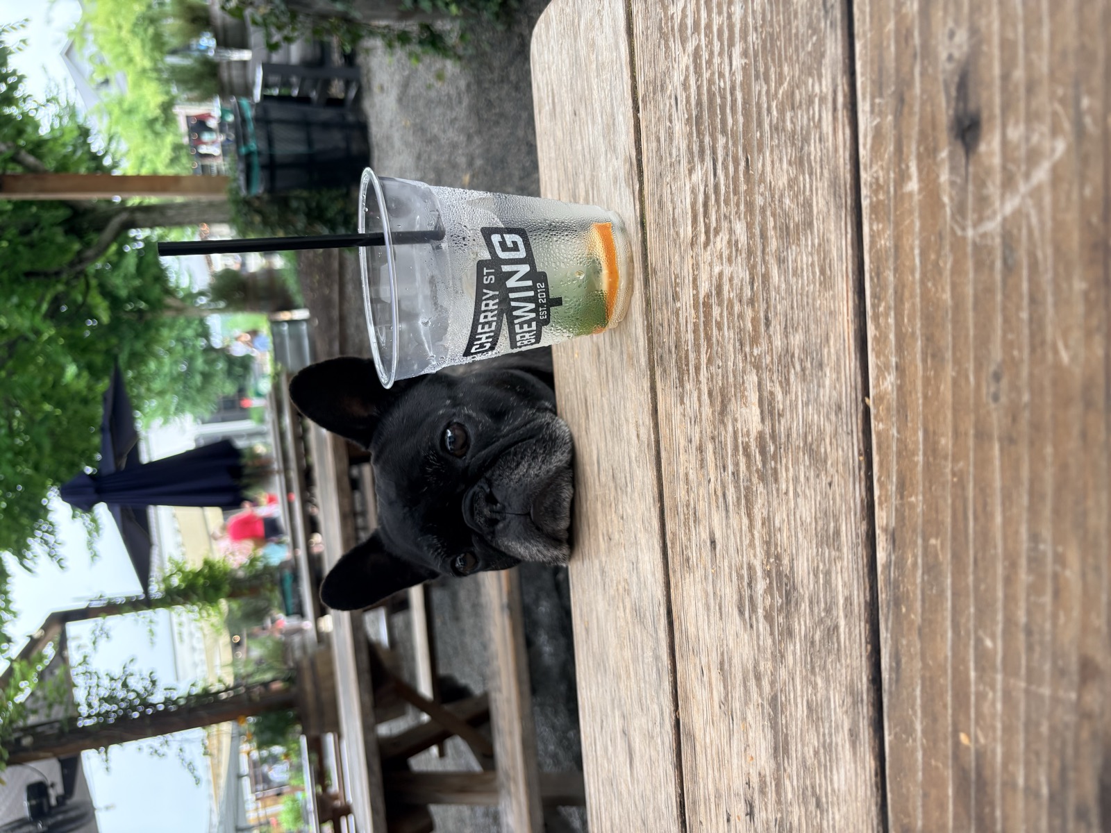 Cherry Street Brewing