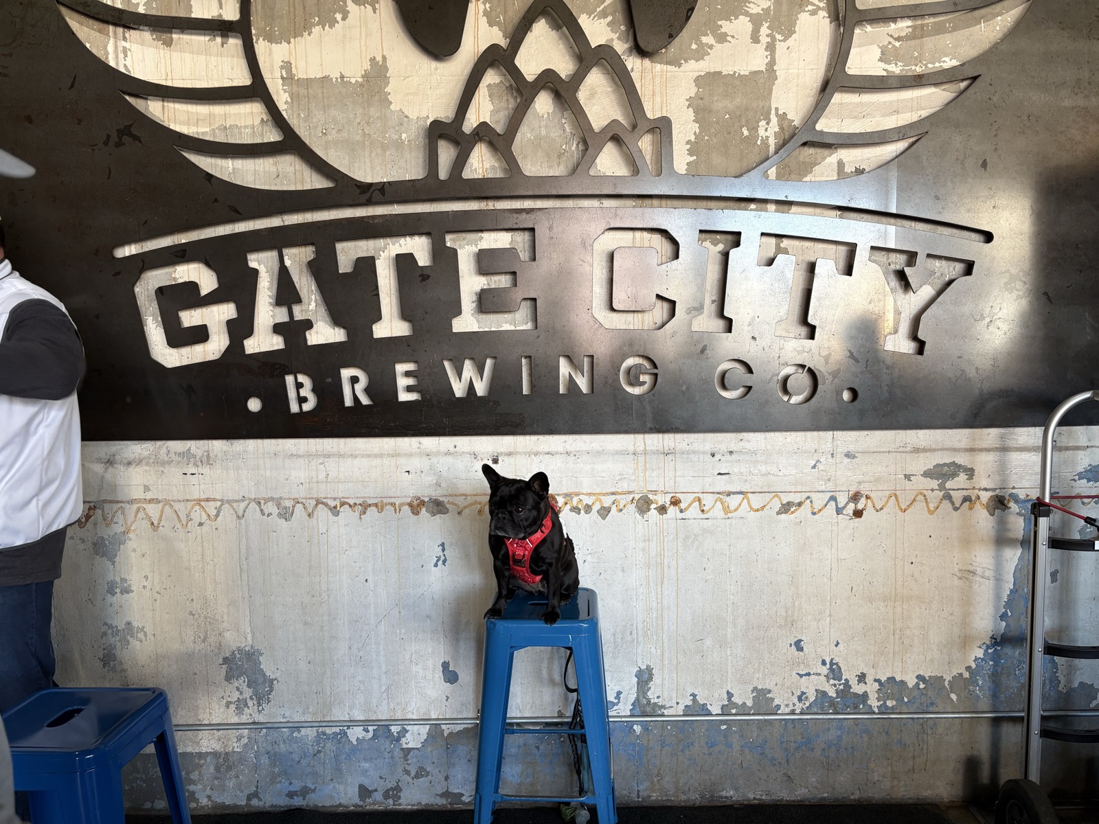 Gate City Brewing Company