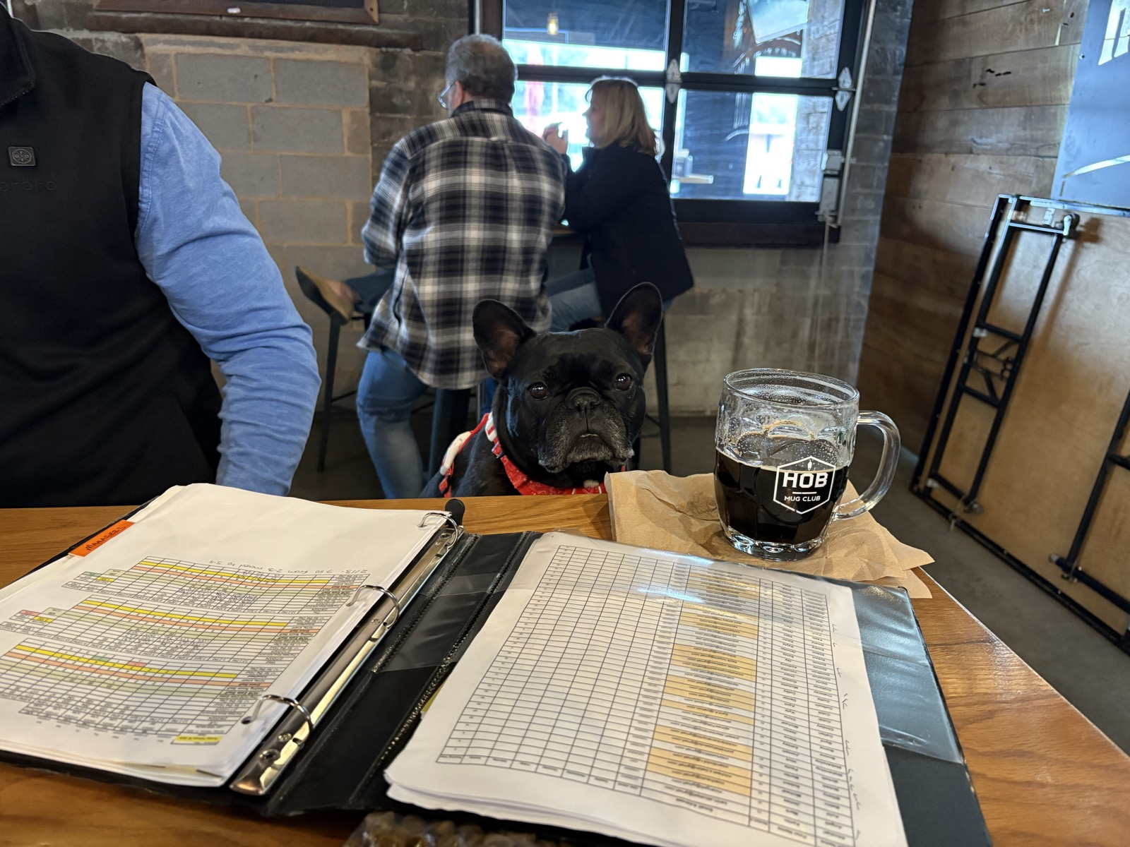 Horned Owl Brewing