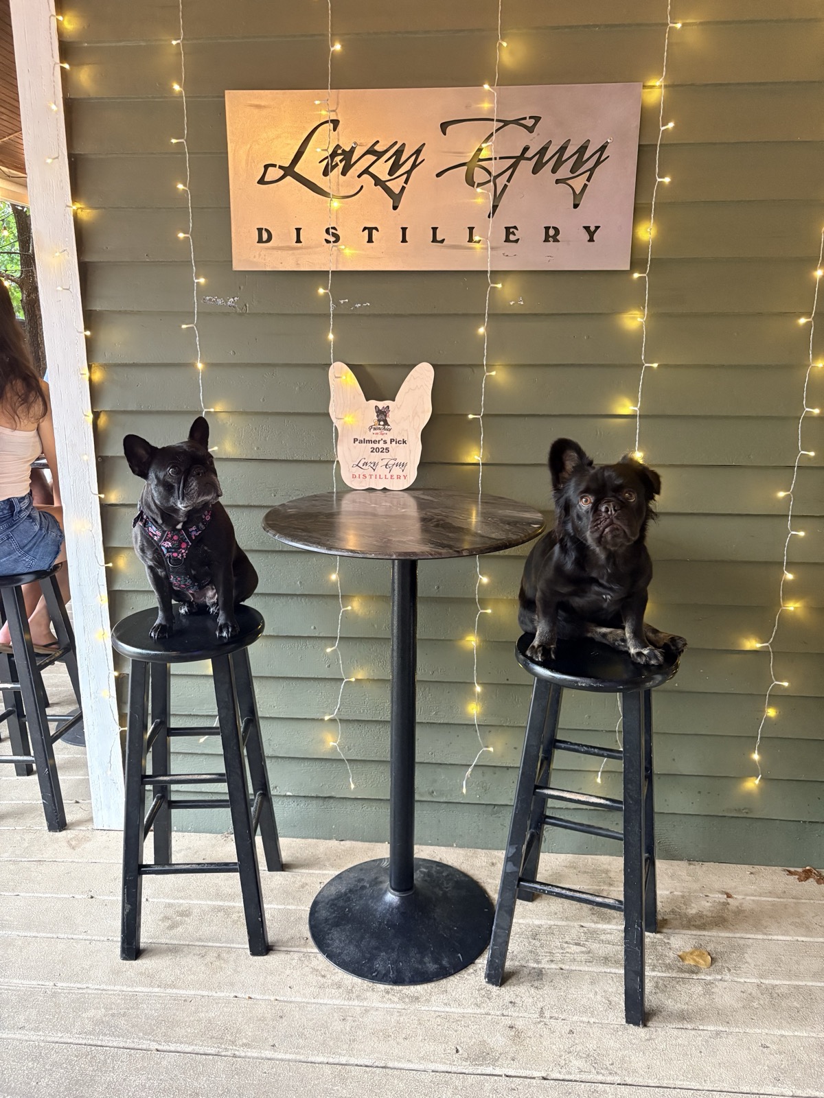Palmer and Rosie with the Palmer's Pick 2025 award at Lazy Guy Distillery