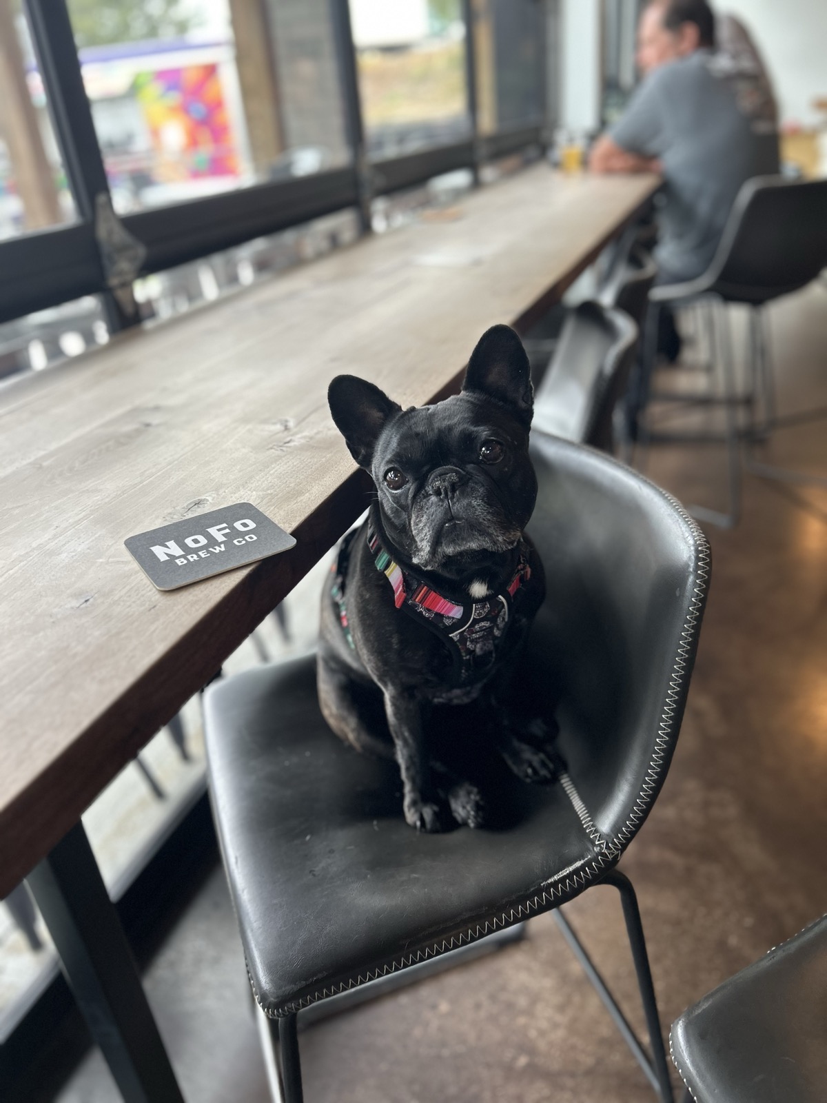 NoFo Brew Co