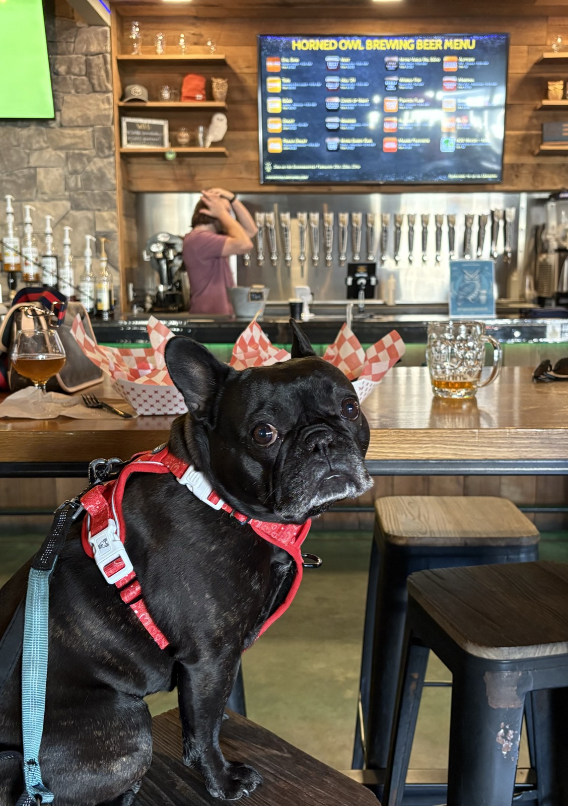 Palmer taking in the taps at Horned Owl Brewing