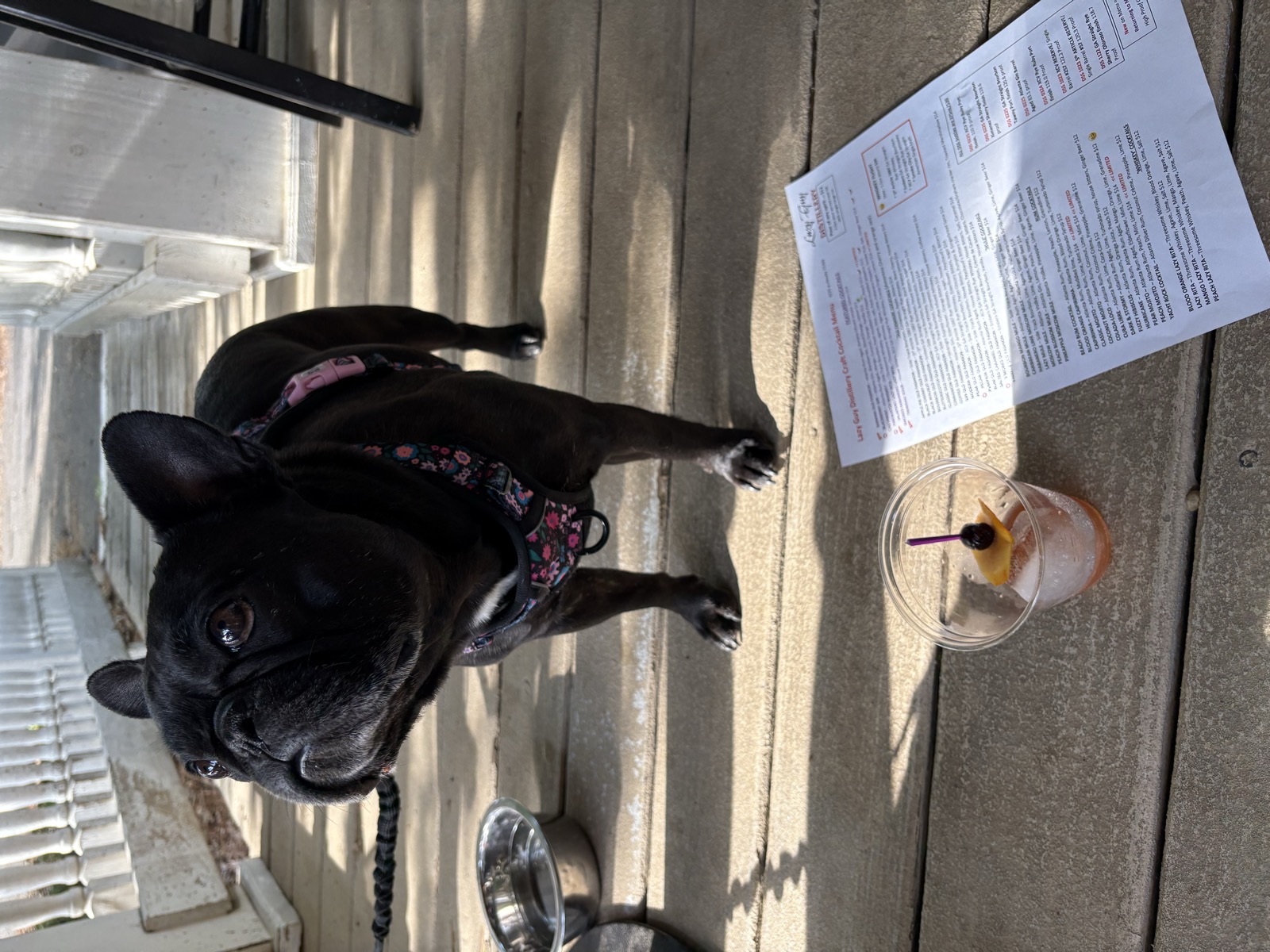 Palmer checking out the menu at Lazy Guy Distillery
