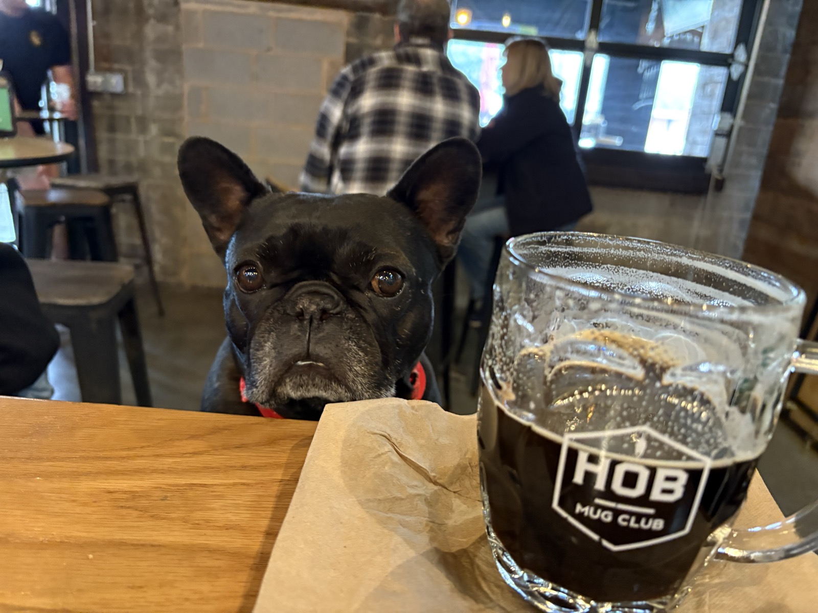 Palmer keeping an eye on the mug club beer