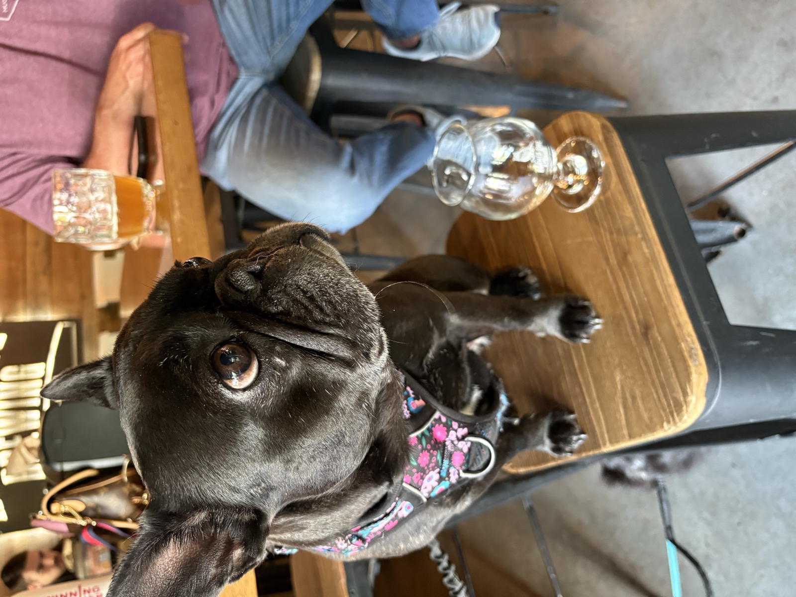 Palmer at an outdoor brewery table