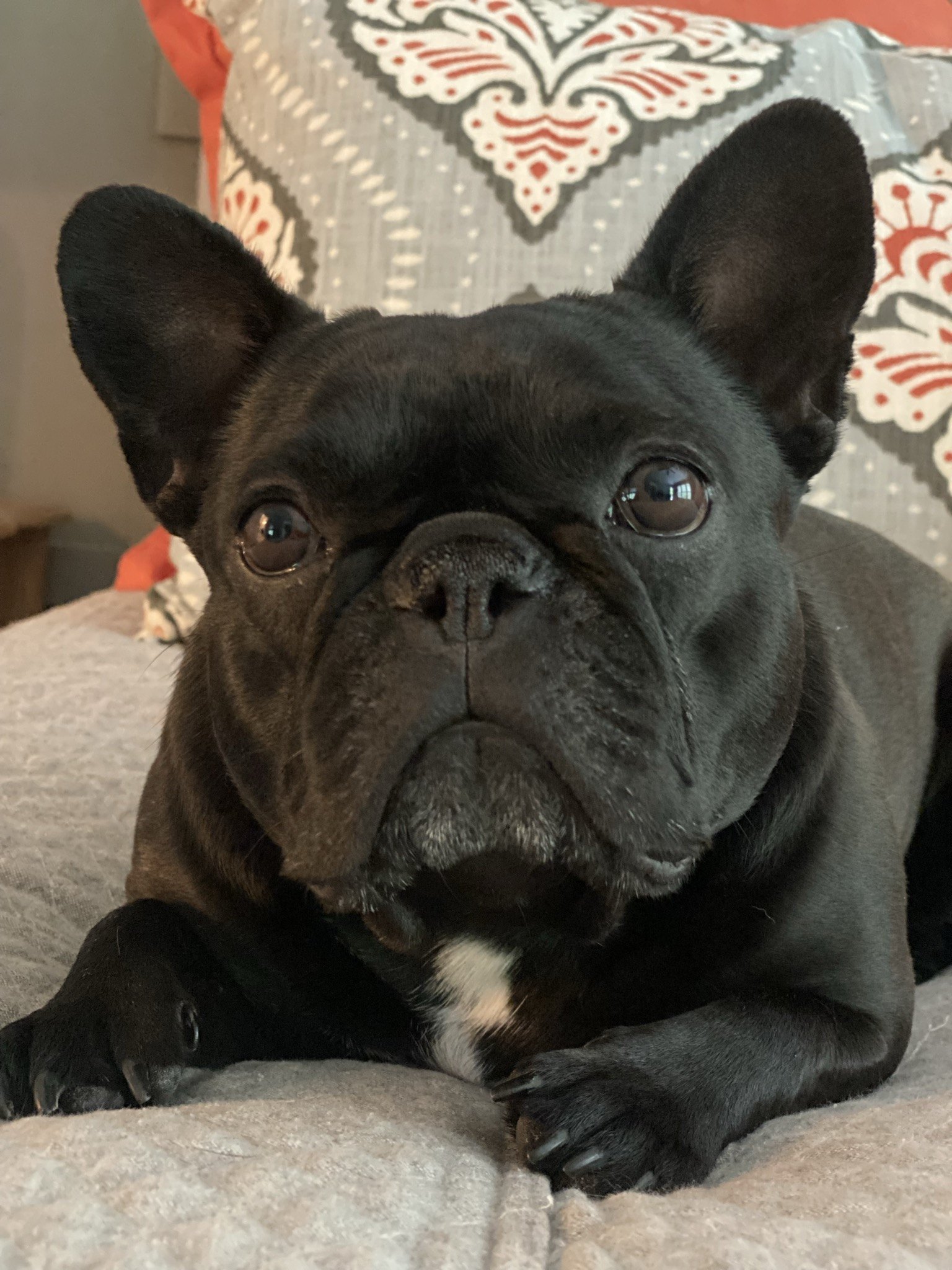 Palmer lounging on the bed, giving the camera her best stare