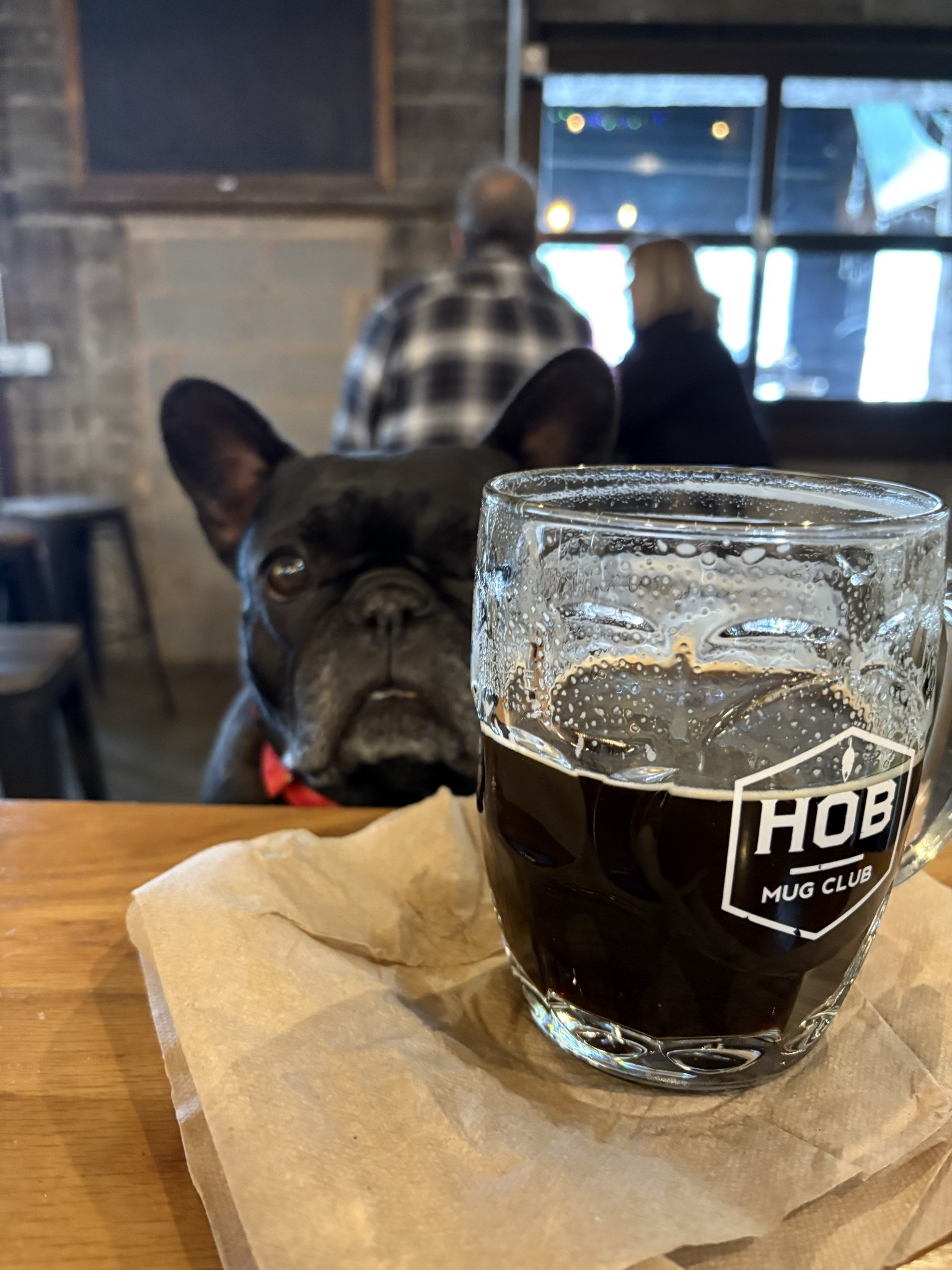 Palmer peeking over a mug club beer at Horned Owl Brewing