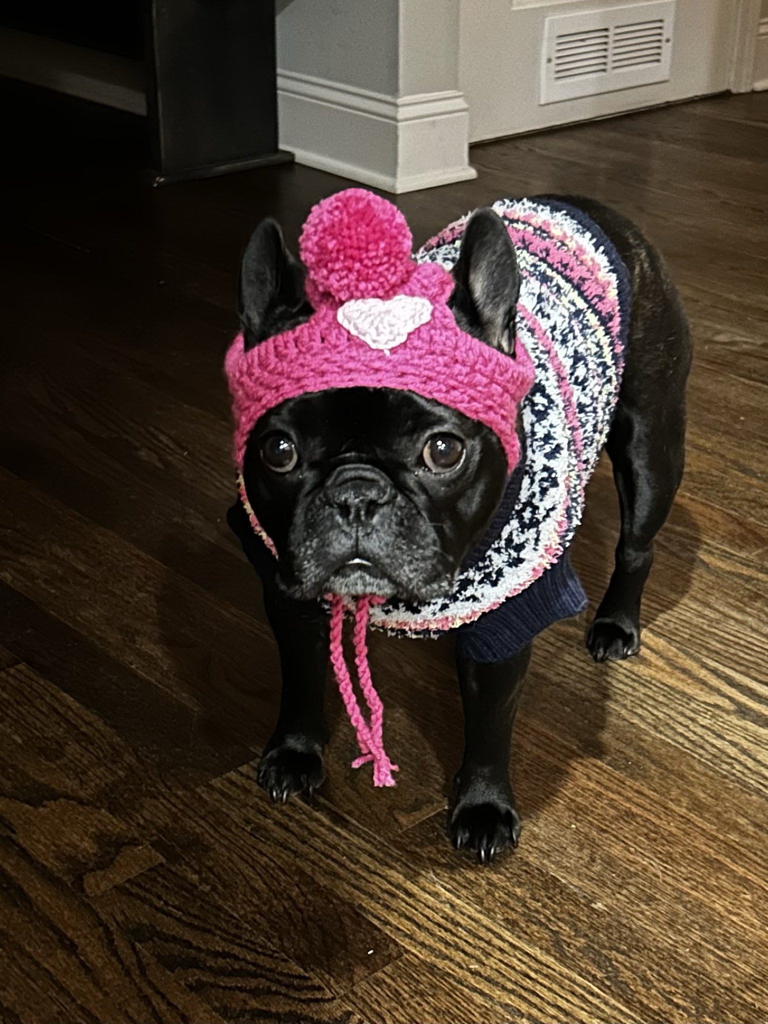 Palmer bundled up in a pink pom-pom hat