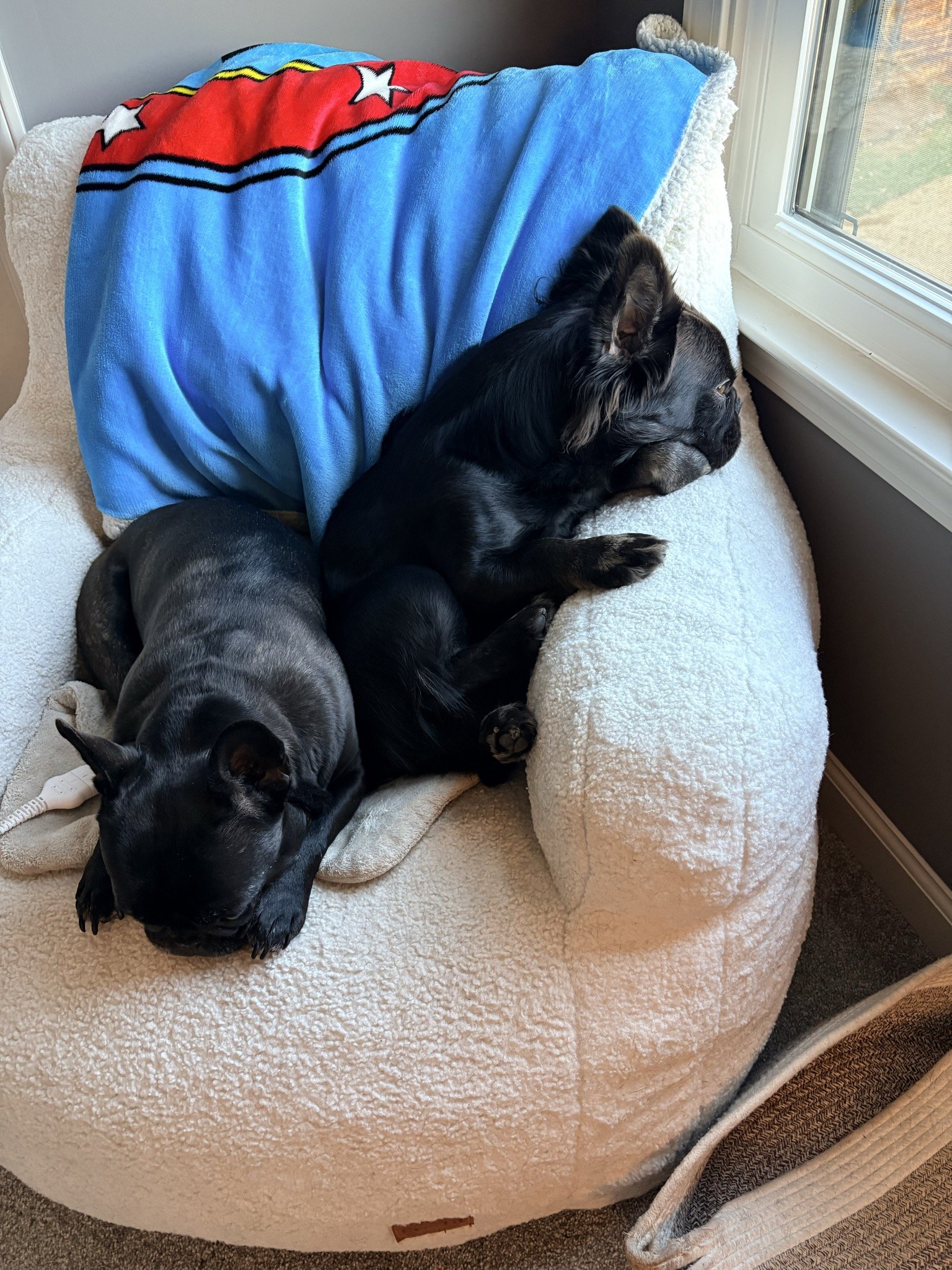 Palmer and Rosie sharing the beanbag and the superhero blanket