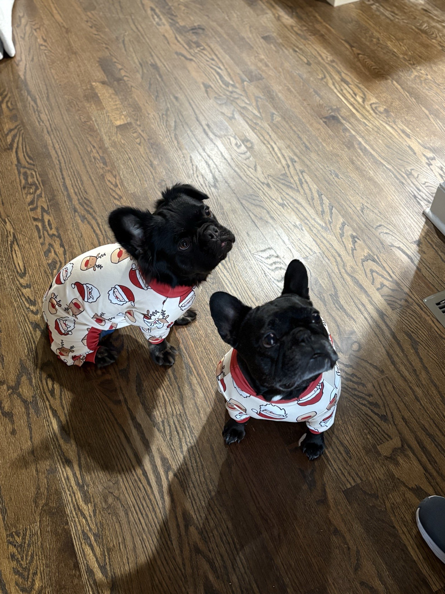 Palmer and Rosie in matching holiday pajamas