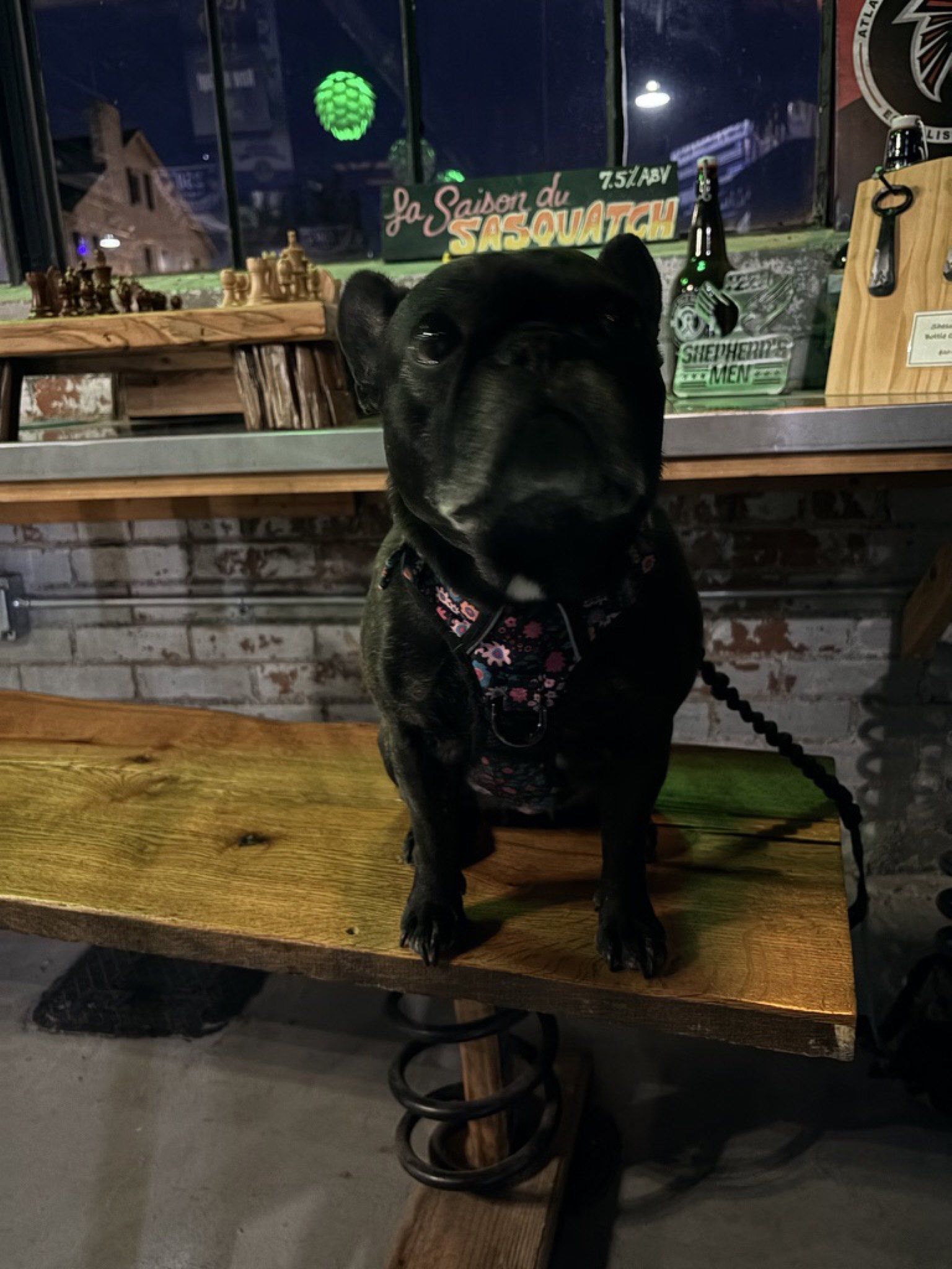 Palmer on a bar bench in front of a Shepherd's Men growler