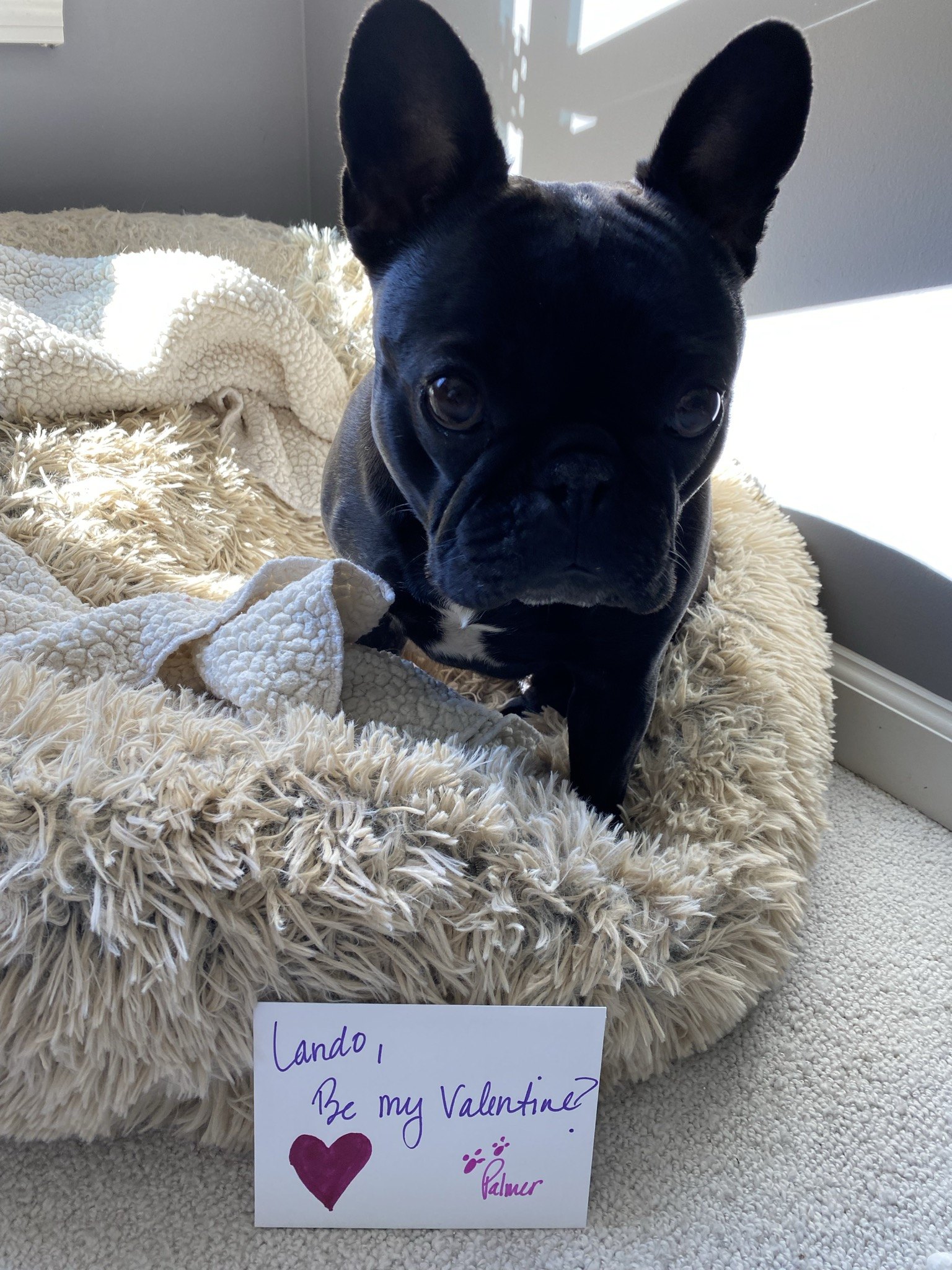 Palmer in her bed next to a handwritten Valentine
