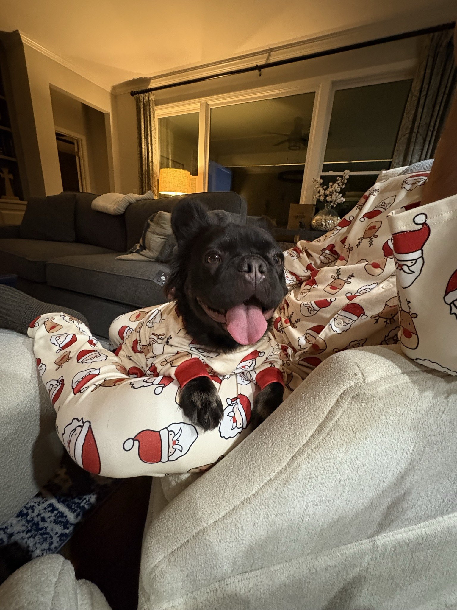 Rosie with her tongue out on a Christmas blanket