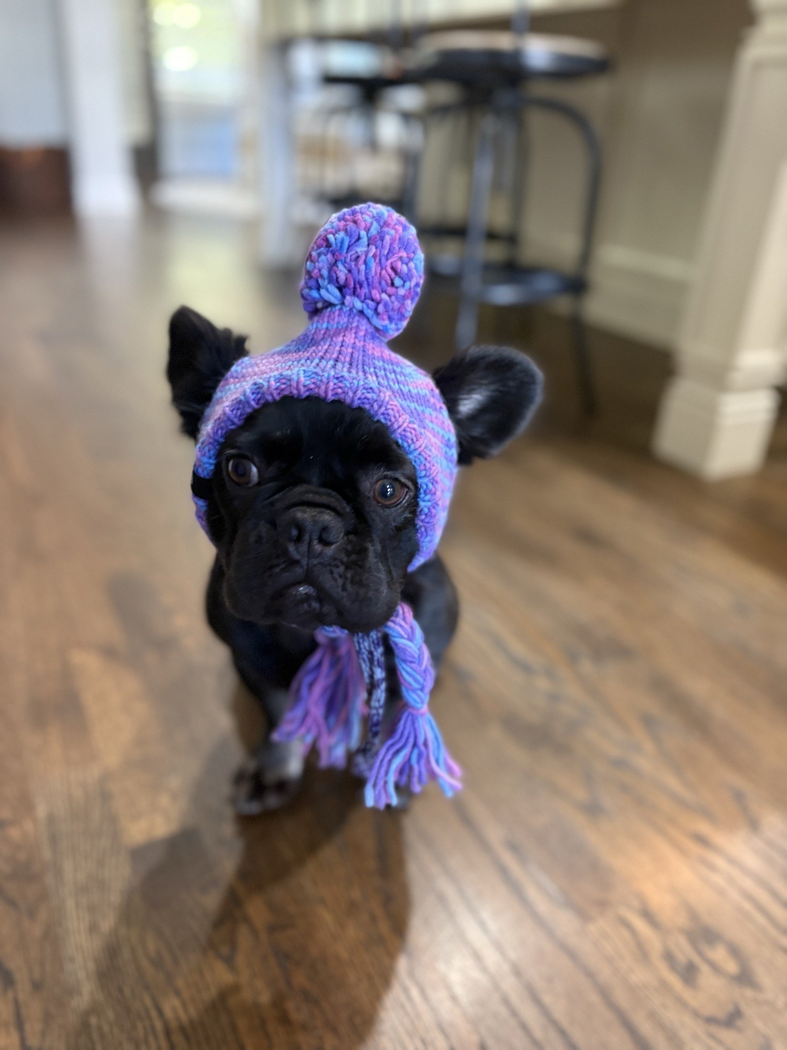 Rosie in a purple pom-pom hat